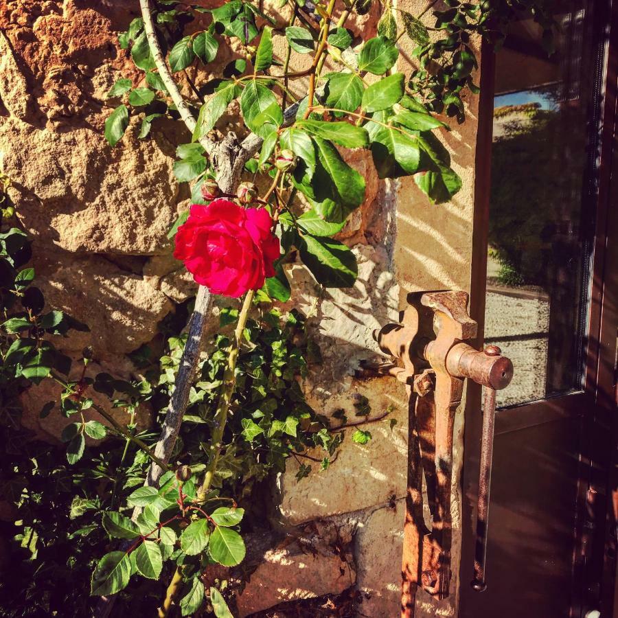 Le Clos D'Olea Oppède المظهر الخارجي الصورة